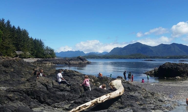 Tofino Field School 2016-2017